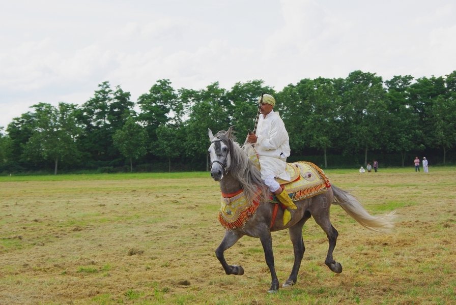 Le Moussem des Cultures 2008 216.jpg